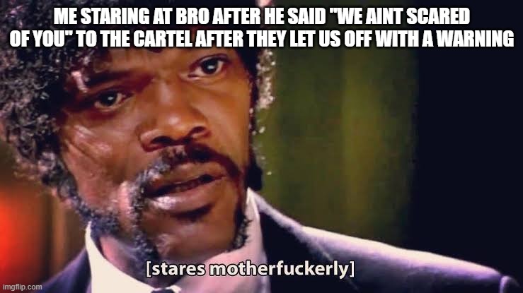 Samuel Jackson stares mother-ly | ME STARING AT BRO AFTER HE SAID "WE AINT SCARED OF YOU" TO THE CARTEL AFTER THEY LET US OFF WITH A WARNING | image tagged in samuel jackson stares mother-ly | made w/ Imgflip meme maker