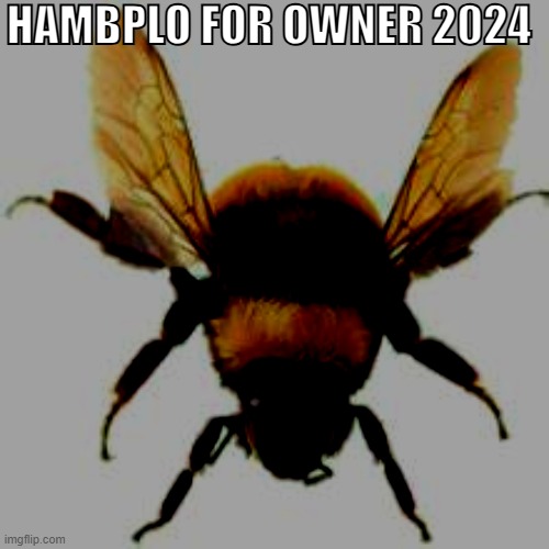 HAMBPLO FOR OWNER 2024 | made w/ Imgflip meme maker