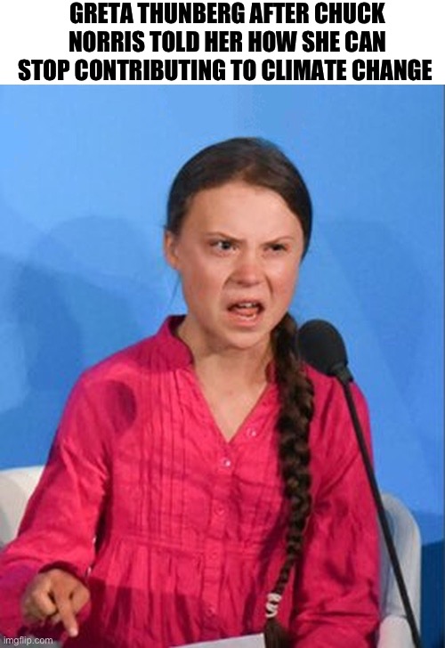 Greta Thunberg how dare you | GRETA THUNBERG AFTER CHUCK NORRIS TOLD HER HOW SHE CAN STOP CONTRIBUTING TO CLIMATE CHANGE | image tagged in greta thunberg how dare you | made w/ Imgflip meme maker