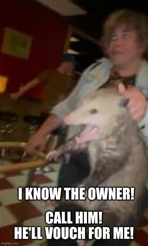 Bouncer's life ain't easy | CALL HIM! HE'LL VOUCH FOR ME! I KNOW THE OWNER! | image tagged in possum,entitled,name dropping,memes,kicked out,bar jokes | made w/ Imgflip meme maker