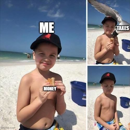 Too real | TAXES; ME; MONEY | image tagged in the seagull's food now | made w/ Imgflip meme maker