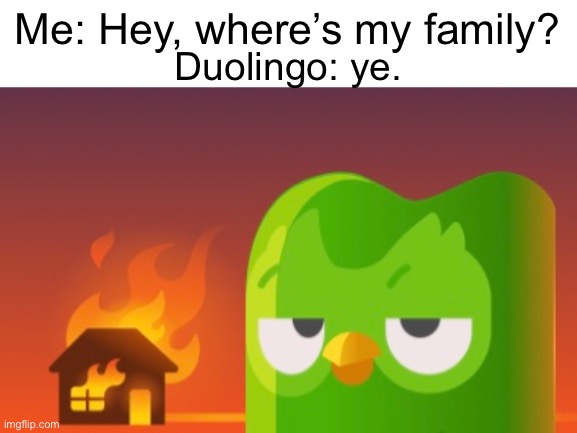 ARSONNNN | Me: Hey, where’s my family? Duolingo: ye. | image tagged in duolingo,fire,things duolingo teaches you,arson,house | made w/ Imgflip meme maker