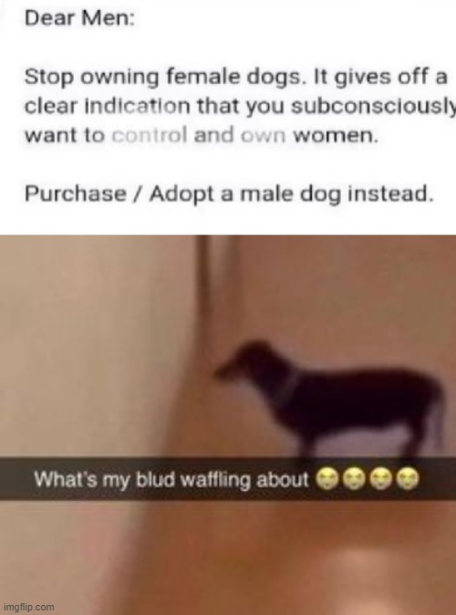 what | image tagged in what's my blud waffling about,vaazkl | made w/ Imgflip meme maker