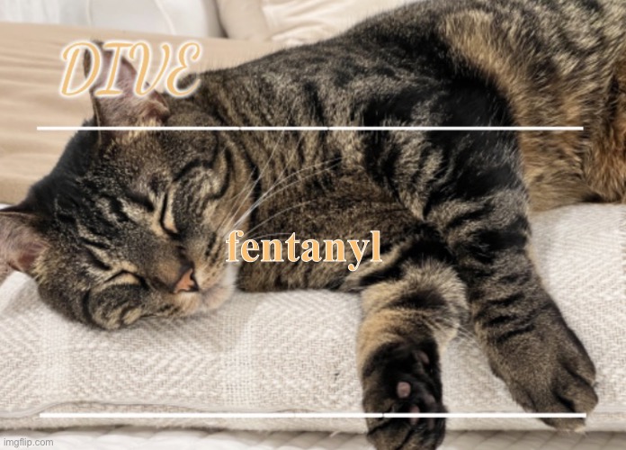 drugs | fentanyl | image tagged in dive s cat announcement temp,dive | made w/ Imgflip meme maker