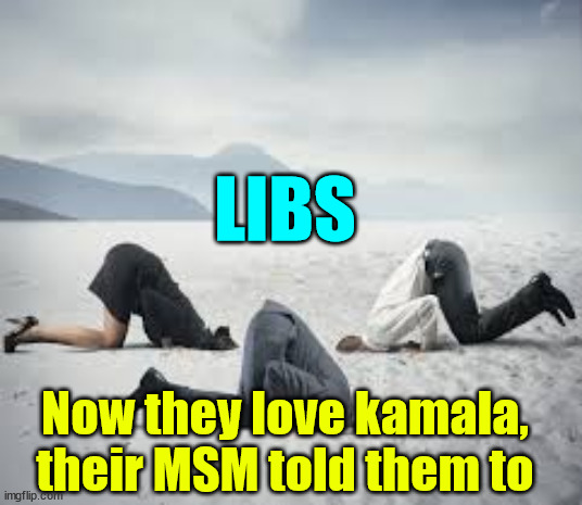 ostrich head in sand | LIBS Now they love kamala,
their MSM told them to | image tagged in ostrich head in sand | made w/ Imgflip meme maker