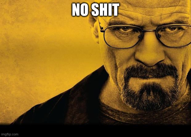 Breaking bad | NO SHIT | image tagged in breaking bad | made w/ Imgflip meme maker