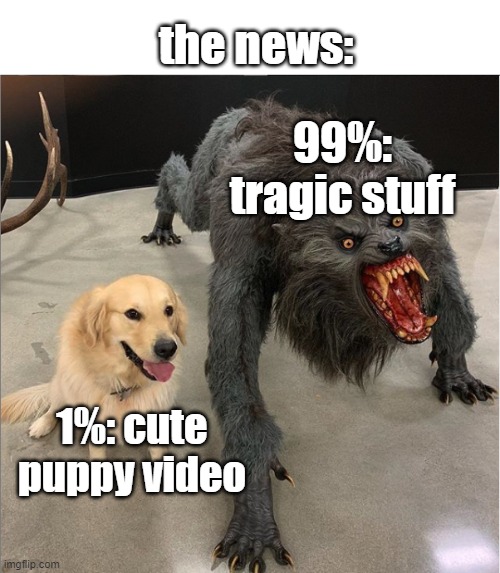 dog vs werewolf | the news:; 99%: tragic stuff; 1%: cute puppy video | image tagged in dog vs werewolf,dog,dogs | made w/ Imgflip meme maker