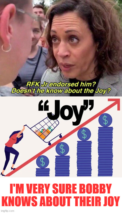 Every one knows what they mean by Joy... | I'M VERY SURE BOBBY KNOWS ABOUT THEIR JOY | image tagged in democrats,hate,america,they have no joy for it | made w/ Imgflip meme maker