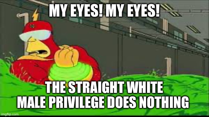 My eyes! The goggles they do nothing | MY EYES! MY EYES! THE STRAIGHT WHITE MALE PRIVILEGE DOES NOTHING | image tagged in my eyes the goggles they do nothing | made w/ Imgflip meme maker