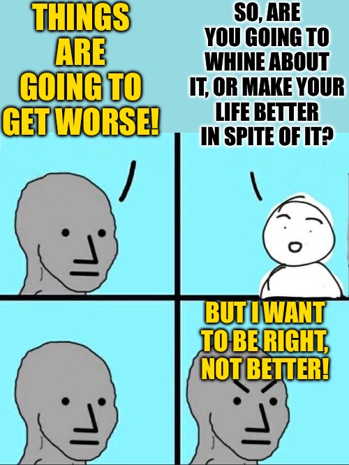 Being Right vs. Being Better | THINGS ARE GOING TO GET WORSE! SO, ARE YOU GOING TO WHINE ABOUT IT, OR MAKE YOUR LIFE BETTER IN SPITE OF IT? BUT I WANT TO BE RIGHT, NOT BETTER! | image tagged in npc meme,useful idiots,elections,political humor,current events,sheeple | made w/ Imgflip meme maker