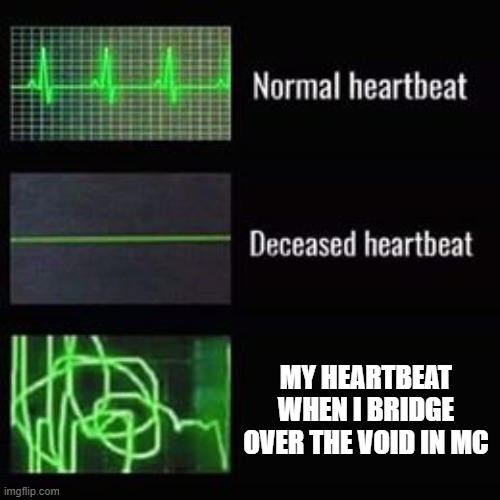 honestly, i just want the elytra | MY HEARTBEAT WHEN I BRIDGE OVER THE VOID IN MC | image tagged in heartbeat rate,minecraft memes | made w/ Imgflip meme maker