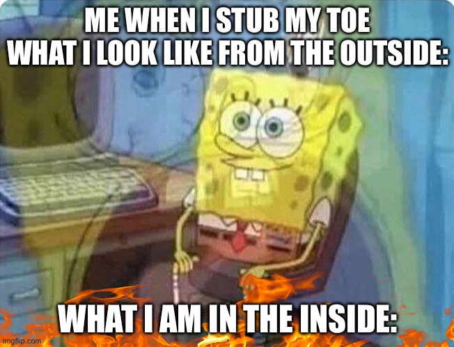 spongebob screaming inside | ME WHEN I STUB MY TOE
WHAT I LOOK LIKE FROM THE OUTSIDE:; WHAT I AM IN THE INSIDE: | image tagged in spongebob screaming inside | made w/ Imgflip meme maker