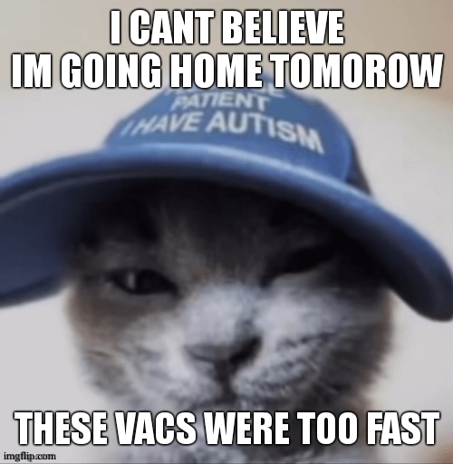 i bet my dad will fall in what we call in french "tombé dans les pommes" when he wil see my new fit | I CANT BELIEVE IM GOING HOME TOMOROW; THESE VACS WERE TOO FAST | image tagged in cat autism | made w/ Imgflip meme maker