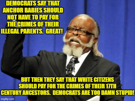 Unless one is a Democrat, you shall now pause for actual thought. | DEMOCRATS SAY THAT ANCHOR BABIES SHOULD NOT HAVE TO PAY FOR THE CRIMES OF THEIR ILLEGAL PARENTS.  GREAT! BUT THEN THEY SAY THAT WHITE CITIZENS SHOULD PAY FOR THE CRIMES OF THEIR 17TH CENTURY ANCESTORS.  DEMOCRATS ARE TOO DAMN STUPID! | image tagged in too damn high | made w/ Imgflip meme maker