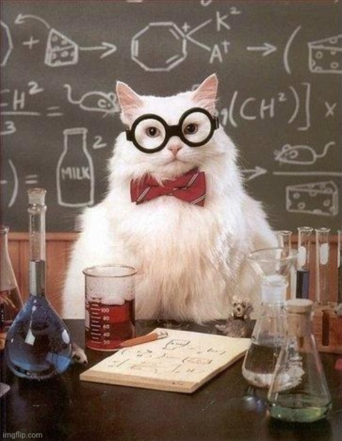 Chemistry Cat | image tagged in chemistry cat | made w/ Imgflip meme maker