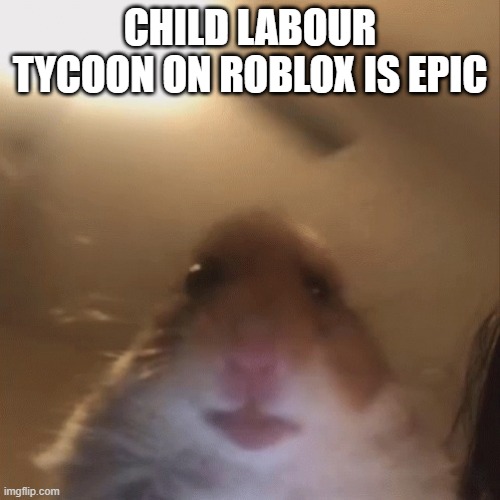 hampter | CHILD LABOUR TYCOON ON ROBLOX IS EPIC | image tagged in hampter | made w/ Imgflip meme maker