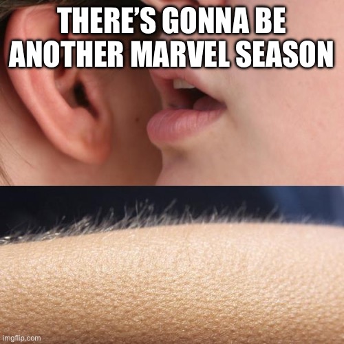 Whisper and Goosebumps | THERE’S GONNA BE ANOTHER MARVEL SEASON | image tagged in whisper and goosebumps | made w/ Imgflip meme maker