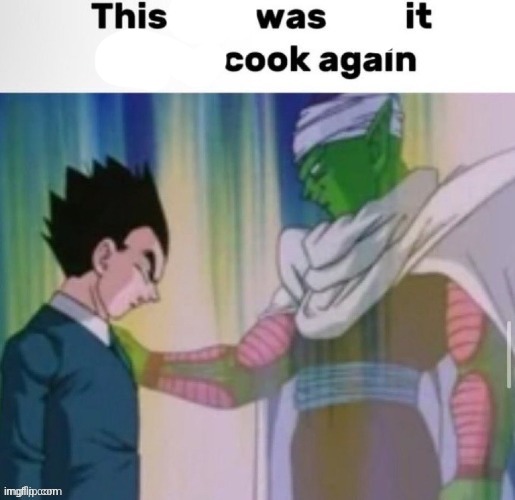 This shit was not it never cook again | image tagged in this shit was not it never cook again | made w/ Imgflip meme maker