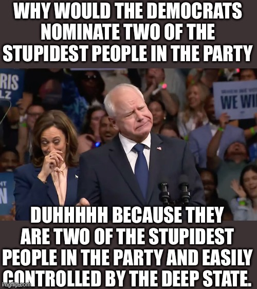 Makes sense | WHY WOULD THE DEMOCRATS NOMINATE TWO OF THE STUPIDEST PEOPLE IN THE PARTY; DUHHHHH BECAUSE THEY ARE TWO OF THE STUPIDEST PEOPLE IN THE PARTY AND EASILY CONTROLLED BY THE DEEP STATE. | image tagged in tim walz and kamala harris | made w/ Imgflip meme maker