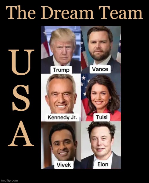 Unified For America | The Dream Team; U
S
A | image tagged in donald trump,rfk jr,elon musk,vance and vivek,tulsi,dream team | made w/ Imgflip meme maker