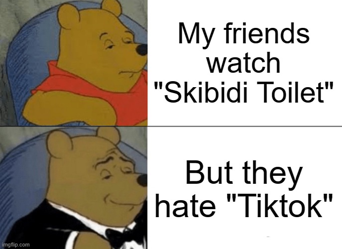 Fr? | My friends watch "Skibidi Toilet"; But they hate "Tiktok" | image tagged in memes,tuxedo winnie the pooh,noice,bruh | made w/ Imgflip meme maker