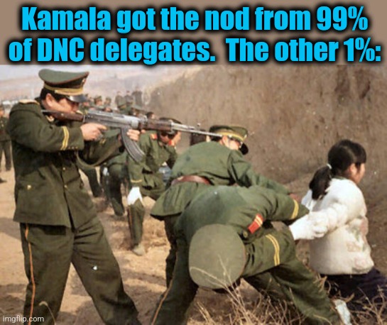 Communist execution | Kamala got the nod from 99% of DNC delegates.  The other 1%: | image tagged in communist execution,kamala harris,democrat national deception,chicago,convention,delegates | made w/ Imgflip meme maker