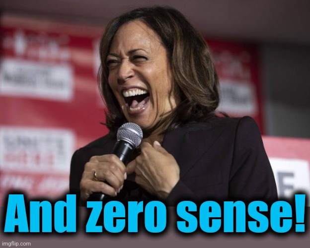 Kamala laughing | And zero sense! | image tagged in kamala laughing | made w/ Imgflip meme maker