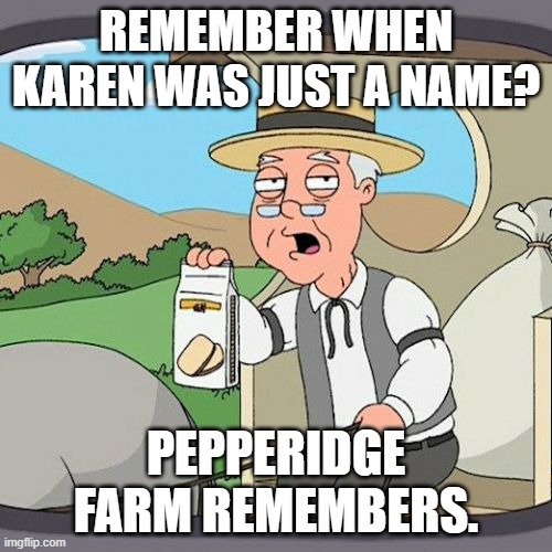 Pepperidge Farm Remembers | REMEMBER WHEN KAREN WAS JUST A NAME? PEPPERIDGE FARM REMEMBERS. | image tagged in memes,pepperidge farm remembers | made w/ Imgflip meme maker