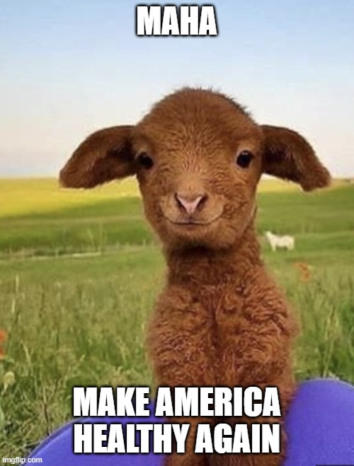 MAKE AMERICA HEALTHY AGAIN | MAHA; MAKE AMERICA HEALTHY AGAIN | image tagged in healthcare,health | made w/ Imgflip meme maker