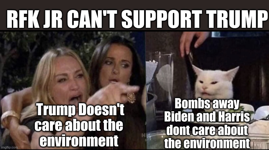 Giving Nazis Weapons to Bomb Nuclear Plants is Good for the Environmeent | RFK JR CAN'T SUPPORT TRUMP; Bombs away Biden and Harris dont care about the environment; Trump Doesn't
care about the 
environment | image tagged in karen carpenter and smudge cat | made w/ Imgflip meme maker