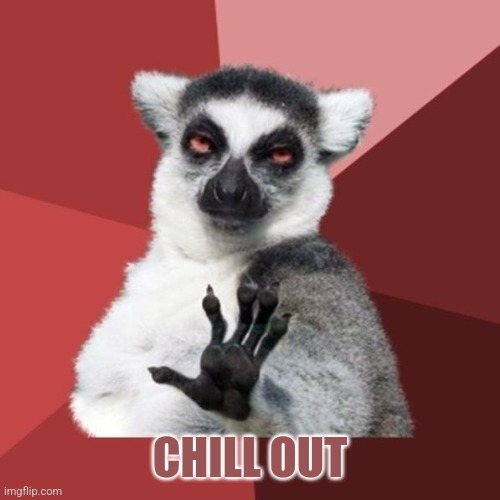 Chill Out Lemur Meme | CHILL OUT | image tagged in memes,chill out lemur | made w/ Imgflip meme maker