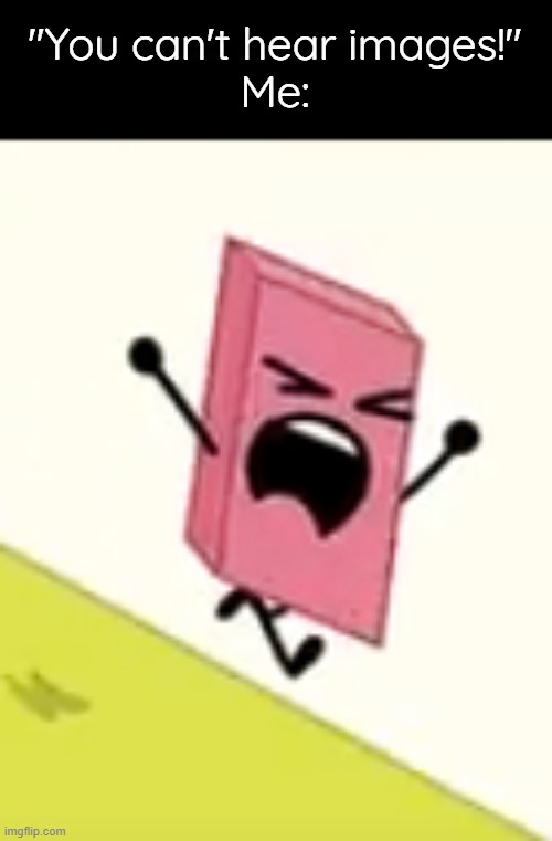 "You can't hear images!"
Me: | image tagged in bfdi | made w/ Imgflip meme maker