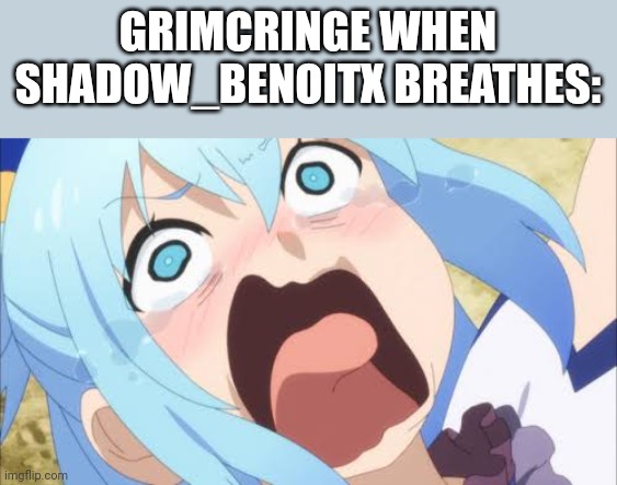 Aqua crying/screaming | GRIMCRINGE WHEN SHADOW_BENOITX BREATHES: | image tagged in aqua crying/screaming | made w/ Imgflip meme maker