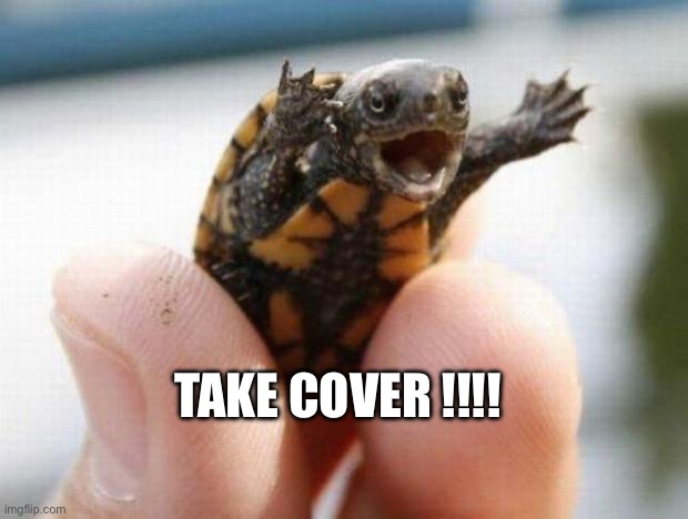 Not happy | TAKE COVER !!!! | image tagged in turtle | made w/ Imgflip meme maker