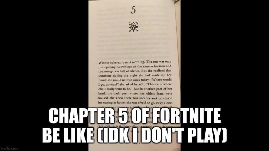 idk | CHAPTER 5 OF FORTNITE BE LIKE (IDK I DON'T PLAY) | image tagged in lol so funny,not really,fortnite | made w/ Imgflip meme maker