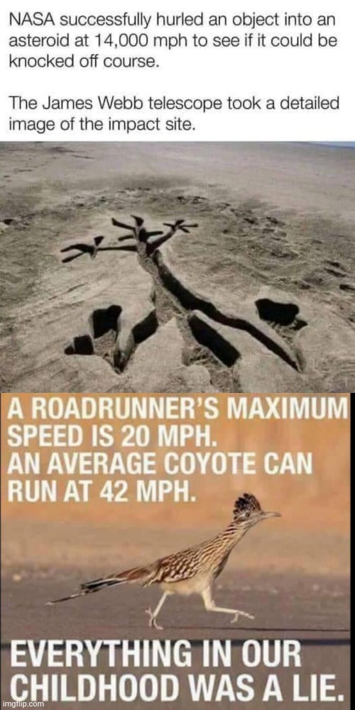 Roadrunner and coyote w / reality | image tagged in road runner | made w/ Imgflip meme maker