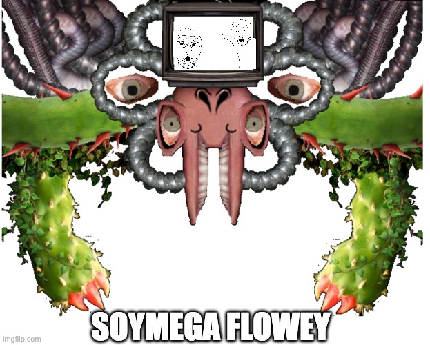 Blank Photoshop Flowey | SOYMEGA FLOWEY | image tagged in blank photoshop flowey | made w/ Imgflip meme maker