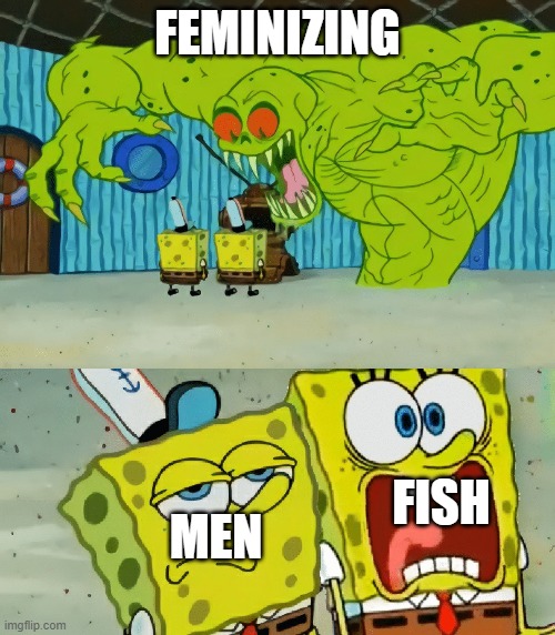 2 spongebobs monster | FEMINIZING; MEN; FISH | image tagged in 2 spongebobs monster | made w/ Imgflip meme maker