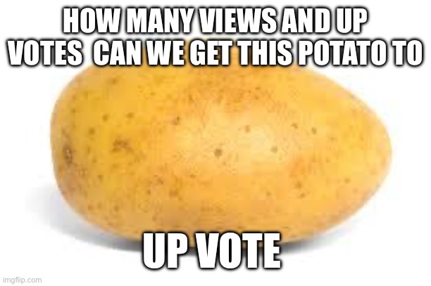 Potato | HOW MANY VIEWS AND UP VOTES  CAN WE GET THIS POTATO TO; UP VOTE | image tagged in potato | made w/ Imgflip meme maker