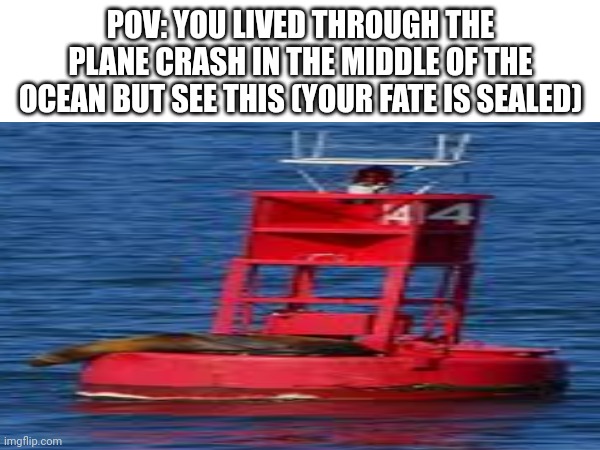 POV: YOU LIVED THROUGH THE PLANE CRASH IN THE MIDDLE OF THE OCEAN BUT SEE THIS (YOUR FATE IS SEALED) | made w/ Imgflip meme maker