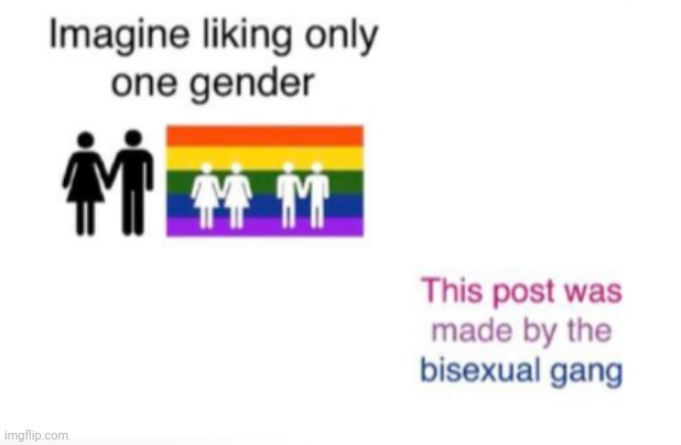 Bi Over Here | image tagged in gay pride,bisexual,fun | made w/ Imgflip meme maker