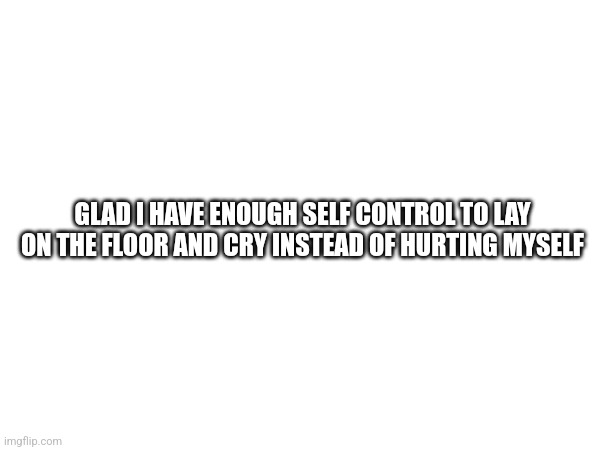 I'm fine | GLAD I HAVE ENOUGH SELF CONTROL TO LAY ON THE FLOOR AND CRY INSTEAD OF HURTING MYSELF | made w/ Imgflip meme maker