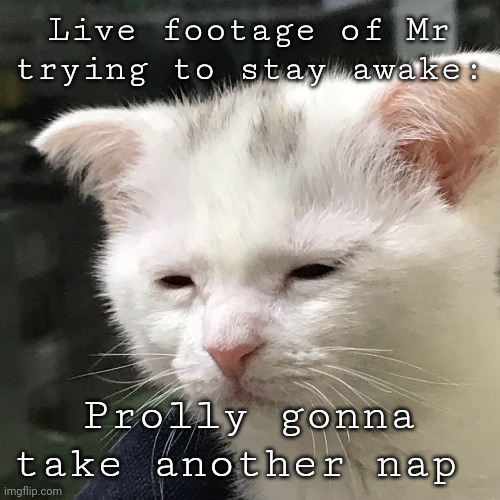 I'm awake, but at what cost? | Live footage of Mr trying to stay awake:; Prolly gonna take another nap | image tagged in i'm awake but at what cost | made w/ Imgflip meme maker
