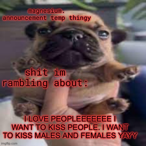 pug temp | I LOVE PEOPLEEEEEEE I WANT TO KISS PEOPLE. I WANT TO KISS MALES AND FEMALES YAYY | image tagged in pug temp | made w/ Imgflip meme maker