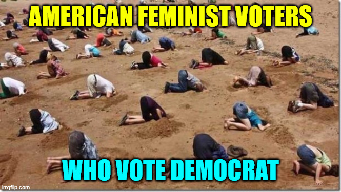 Head in sand | AMERICAN FEMINIST VOTERS WHO VOTE DEMOCRAT | image tagged in head in sand | made w/ Imgflip meme maker