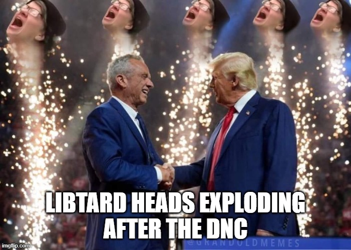 Libtard Heads Exploding | LIBTARD HEADS EXPLODING
AFTER THE DNC | image tagged in libtard heads exploding | made w/ Imgflip meme maker