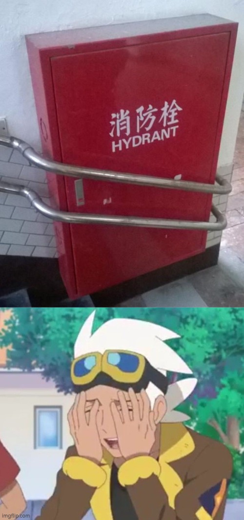 Pls kill me and the person who did this. | image tagged in hydrant,stairs | made w/ Imgflip meme maker