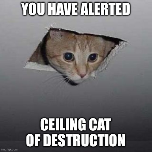 YOU HAVE ALERTED CEILING CAT OF DESTRUCTION | image tagged in memes,ceiling cat | made w/ Imgflip meme maker