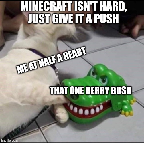 just a rhyme | MINECRAFT ISN'T HARD,
JUST GIVE IT A PUSH; ME AT HALF A HEART; THAT ONE BERRY BUSH | image tagged in cat bitten by toy alligator | made w/ Imgflip meme maker