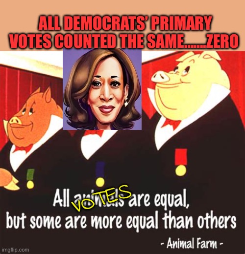 The undemocratic Democrat Party | ALL DEMOCRATS’ PRIMARY VOTES COUNTED THE SAME…….ZERO; VOTES | image tagged in gifs,democrats,kamala harris,unfair,crooked,dictator | made w/ Imgflip meme maker